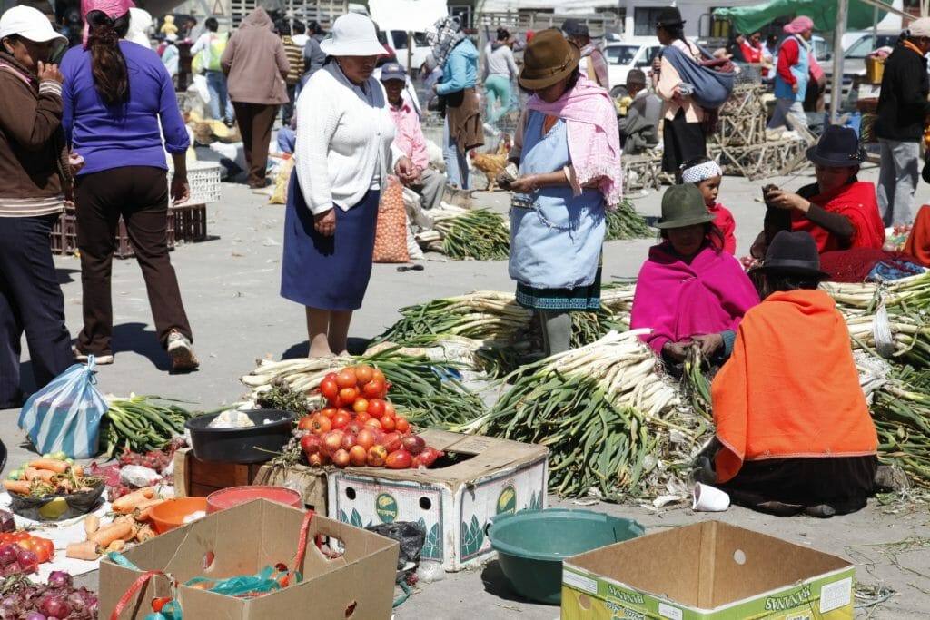 Typical indigenous market, Ecuador