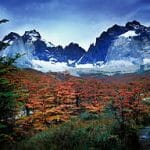 Autumn in torres-del-paine-np-chile-patagonia