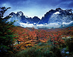 Autumn in torres-del-paine-np-chile-patagonia