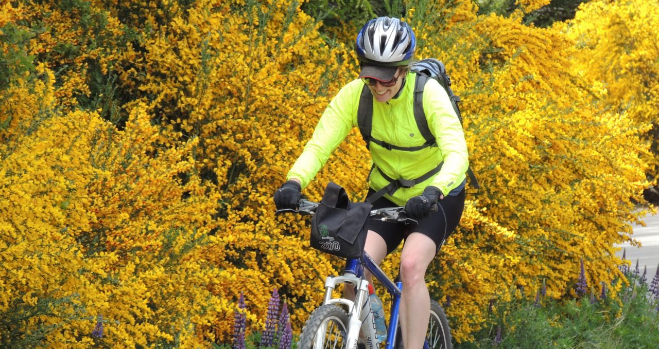 Bike Cyclist Bariloche Tree Argentina