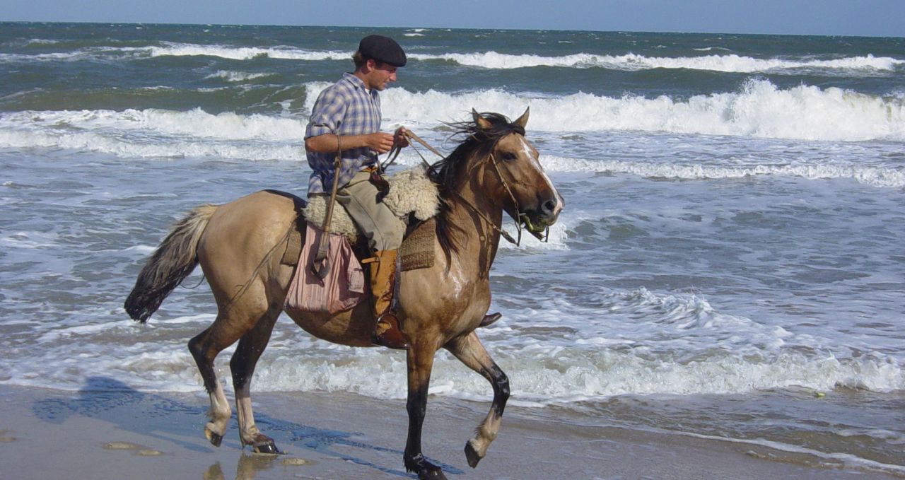 horse-rising-on-beach-uruguay