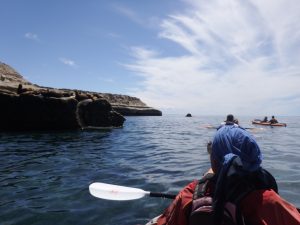 kayak-with-sea-lion-colony-peninsula-valdes-argentina