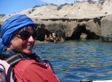 kayak-with-sea-lions-peninsula-valdes-argentina