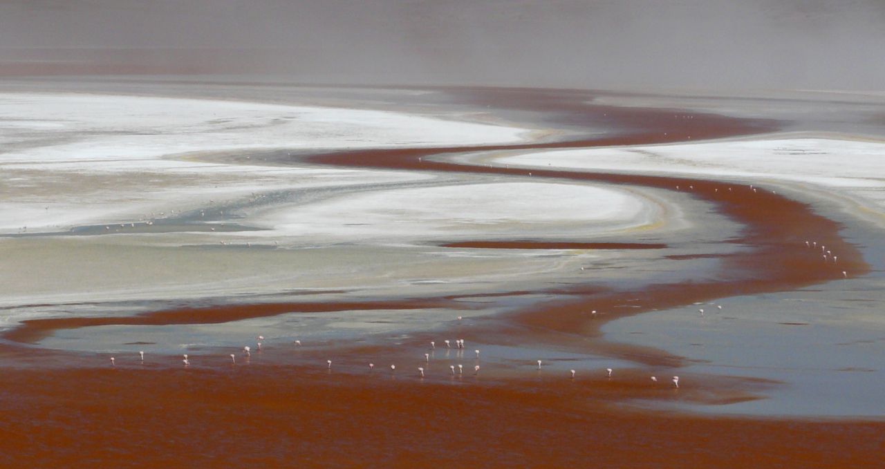 laguna-colorada-uyuni-bolivia