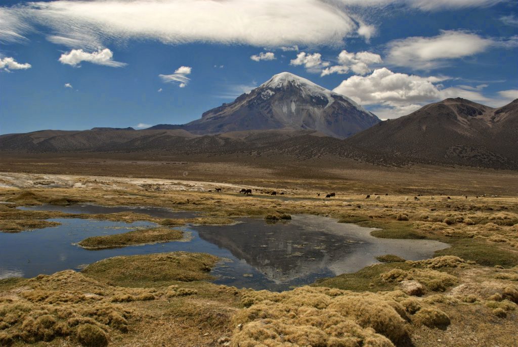 sajama-mountain-bolivia