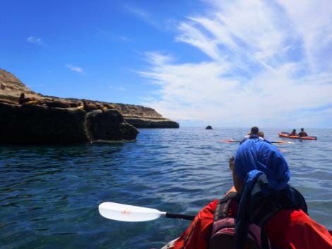 sea-kayak-peninsula-valdes