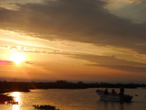 sunset -in-wetlands-irupe-argentina