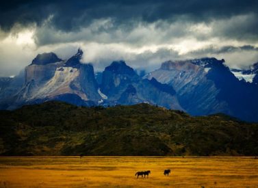 torres-del-paine-np-chile-patagonia
