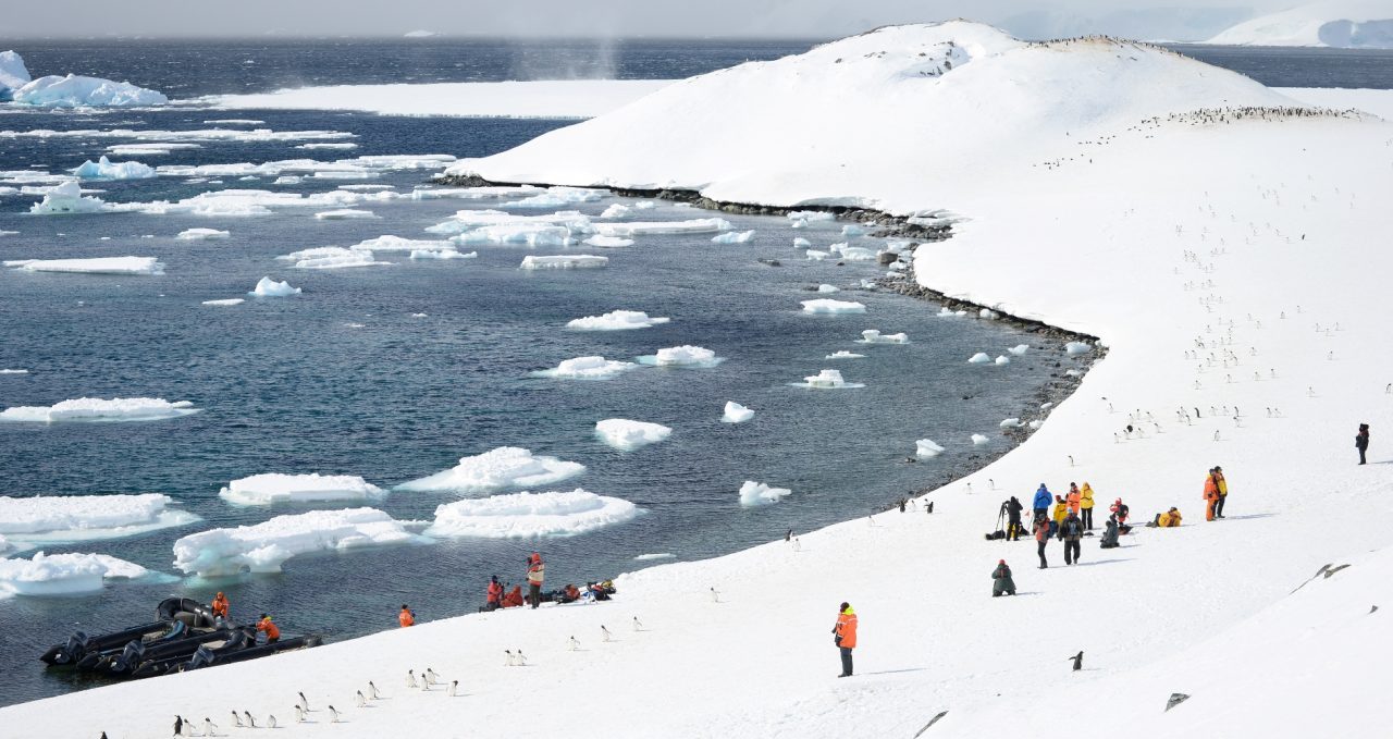 cuverville_landing-polar-latitudes-antarctica