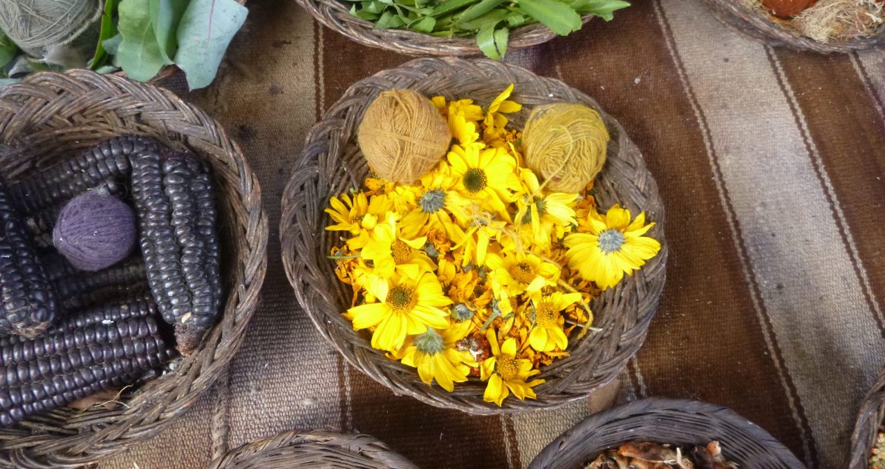 yellow-plant-dye-cusco-peru