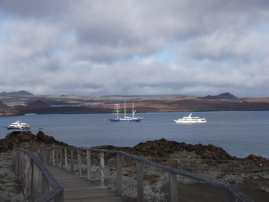 Galapagos Cruise Boats Off Bartolome