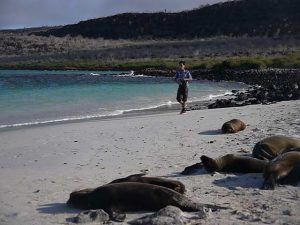 evening sun bathing sea lions family holiday Galapagos