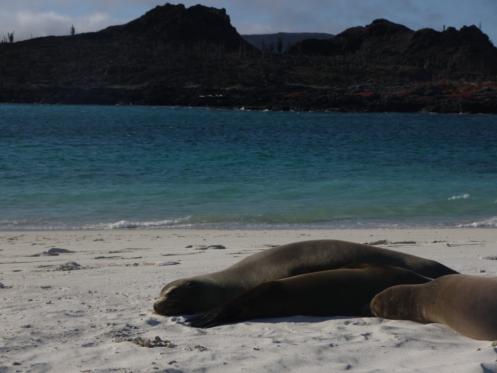 Galapagos Weather Best Time to Visit Galapagos Andean Trails