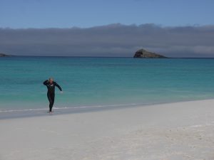 snorkeller comes ashore Galapagos