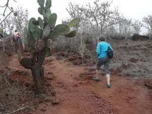 tourists on trails Galapagos