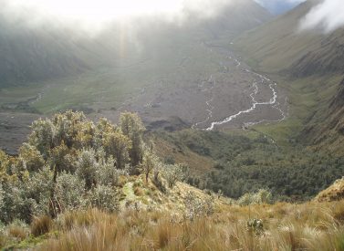 Abraspungo-trek-Ecuador