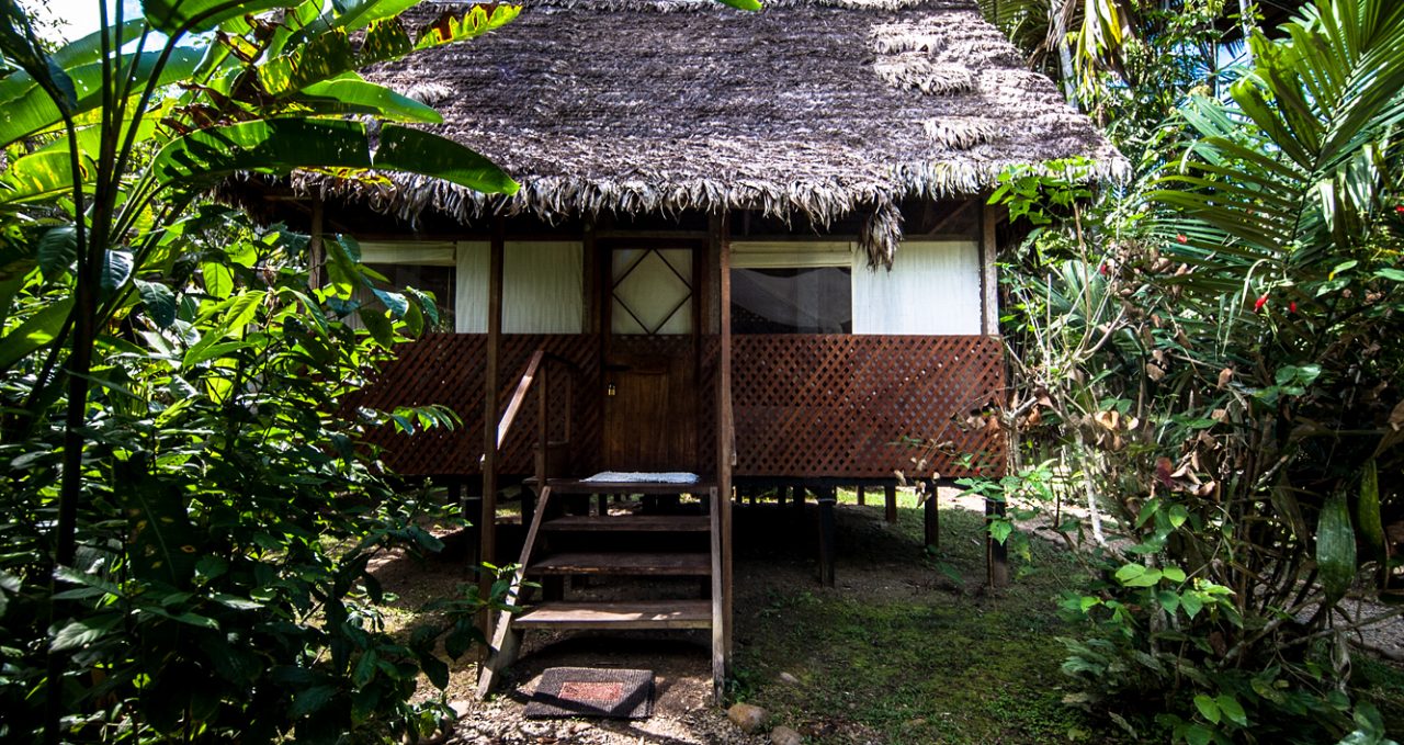 Cabin-Manu-Wildlife-Centre-Peru