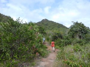 El Pico walk, Providencia, Colombia