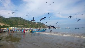 Puerto Lopez view of beach and fishermen with birds