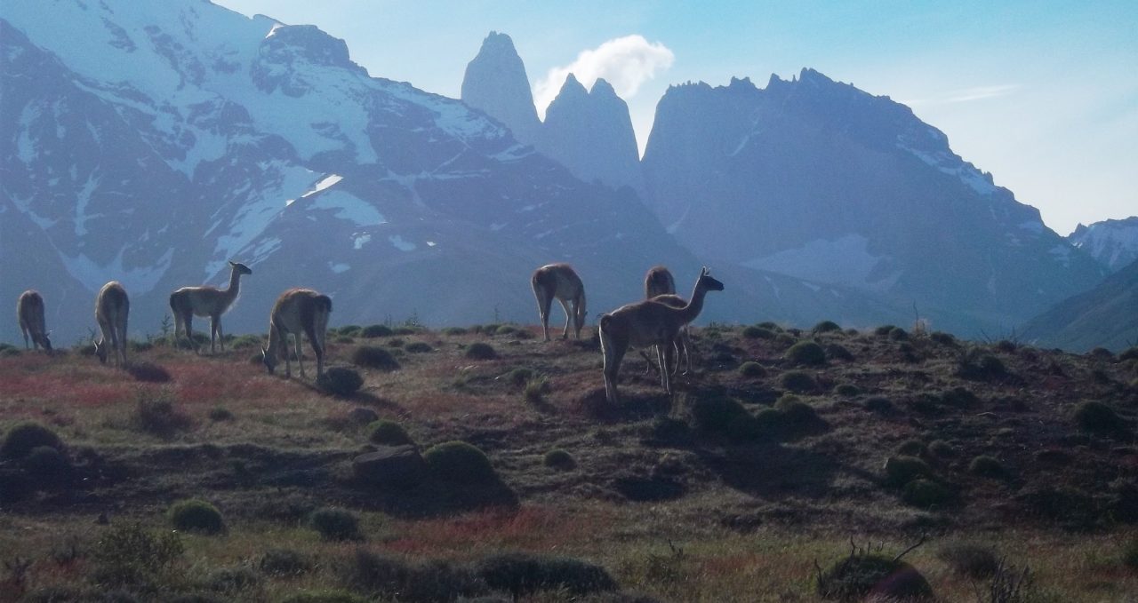 Trek between Sarmiento and Amarga entrances, Torres del Paine, Patagonia, Chile