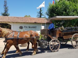 Viu Manent Winery in Santa Cruz, Colchagua Valley, Chile