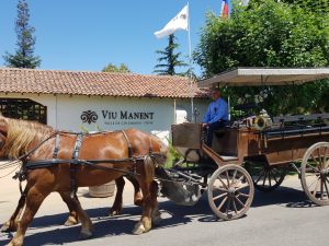 Viu Manent Winery à Santa Cruz, Vallée de Colchagua, Chili