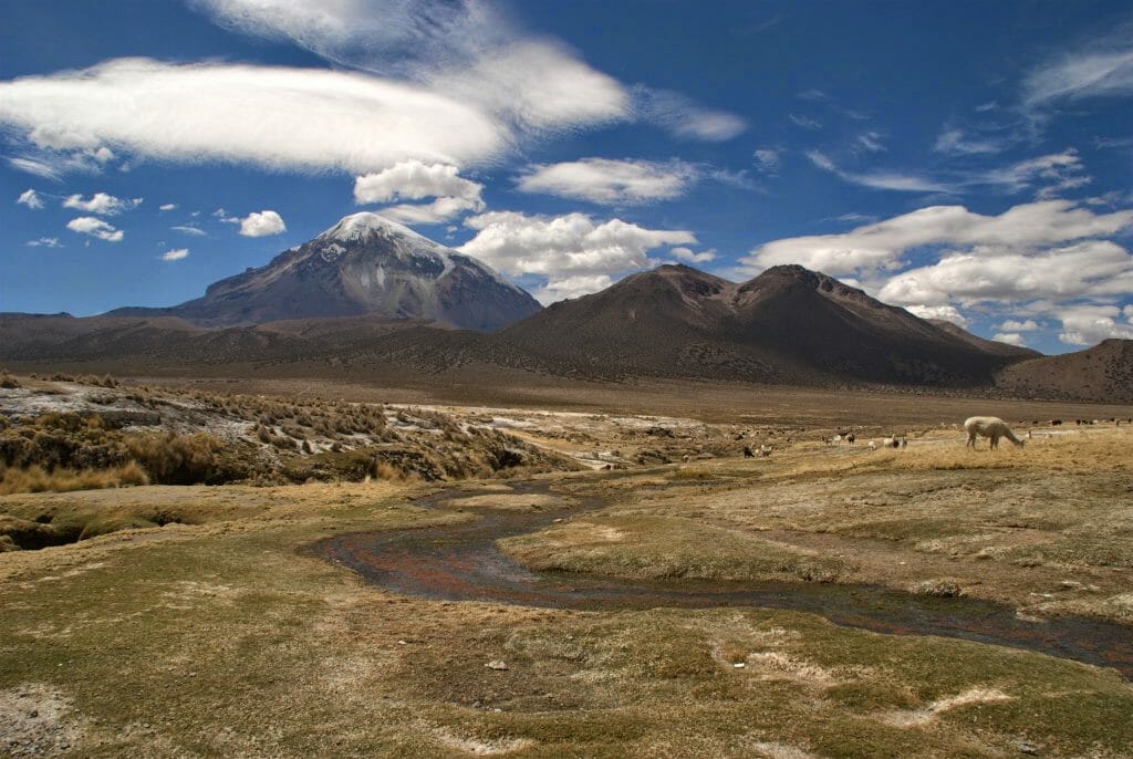 Bolivia Sajama view of Volcano