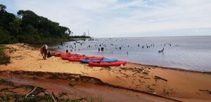 ayak, Parana River, Hotel Puerto Valle, Ibera, Argentina