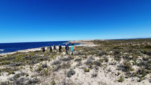 Beach walk, Bahia Bustamante, Patagonia, Argentina