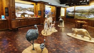 Inside Museum, Patagonia Park, Aysen Region, Chile