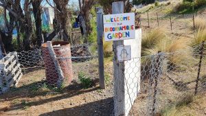 Organic vegetable garden, Bahia Bustamante, Patagonia, Argentina