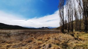 Views, Patagonia Park, Aysen Region, Chile
