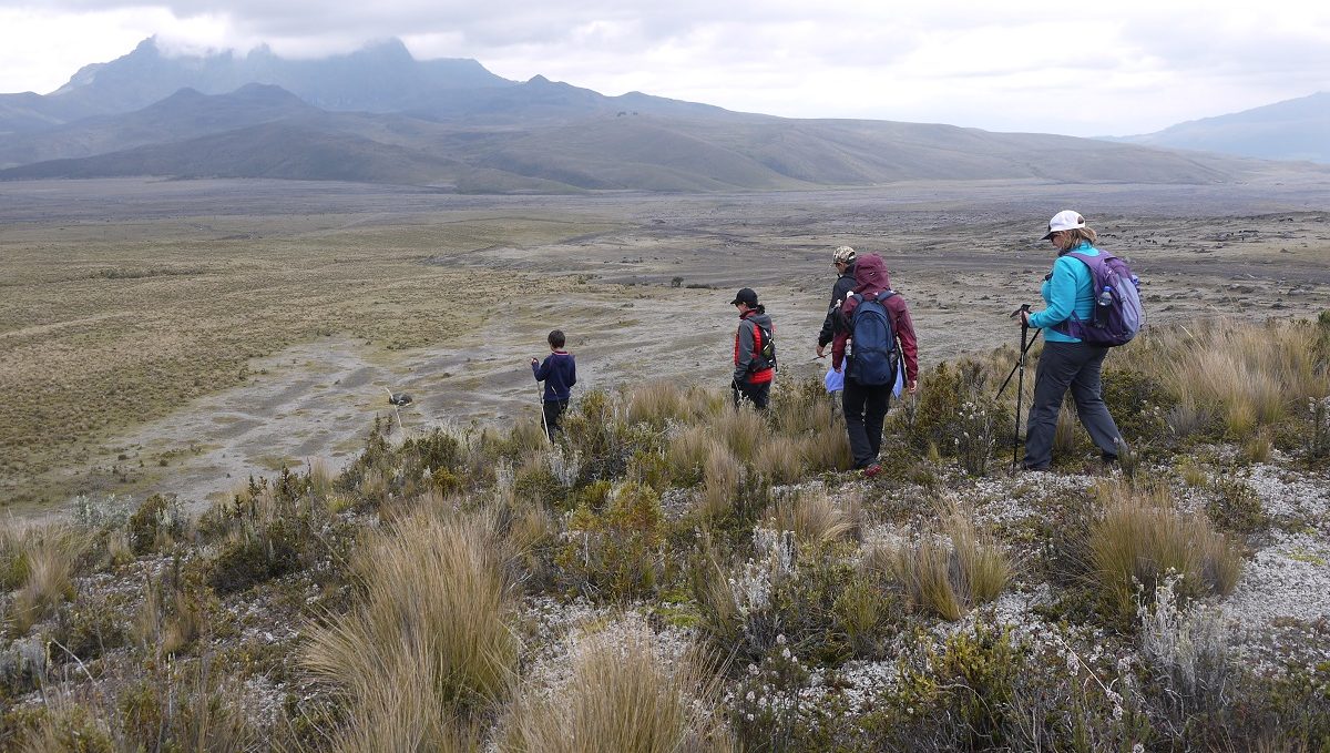 trekking cotopaxi national park ecuador