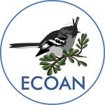 Ecoan-peru-project