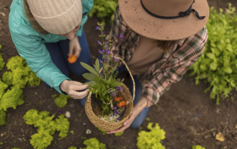 Organic Garden at Hotel Las Torres, Patagonia, Chile
