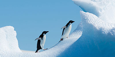 antarctica