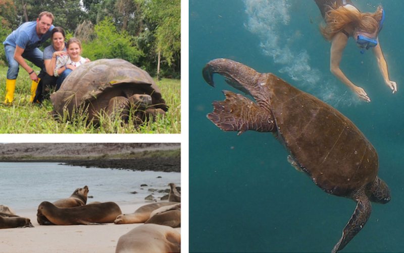 Galapagos Animals and Wildlife