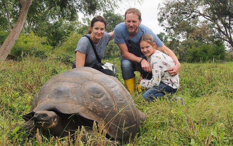 Giant tortoise family Galapagos