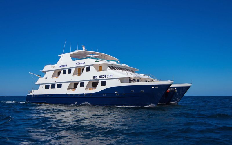 cormorant yacht galapagos