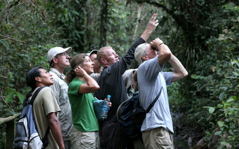 sacha lodge wildlife viewing ecuador