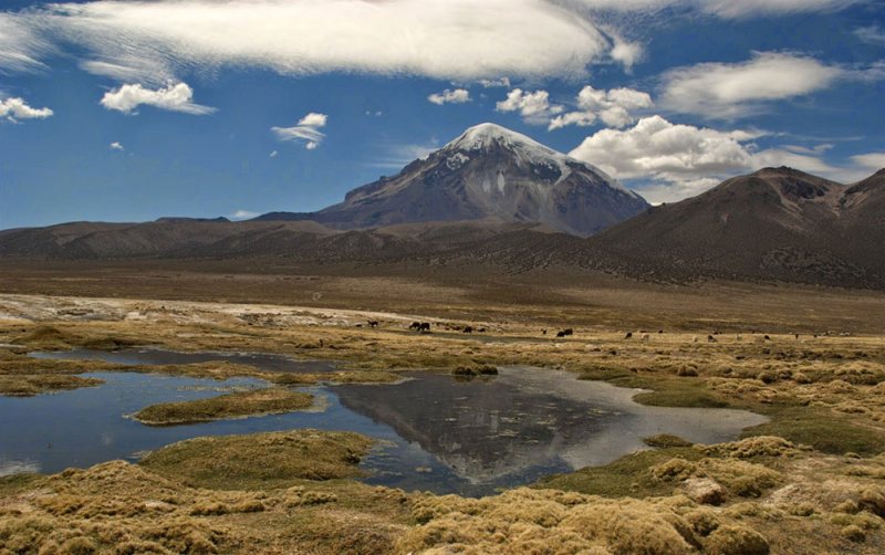 sajama mountain bolivia