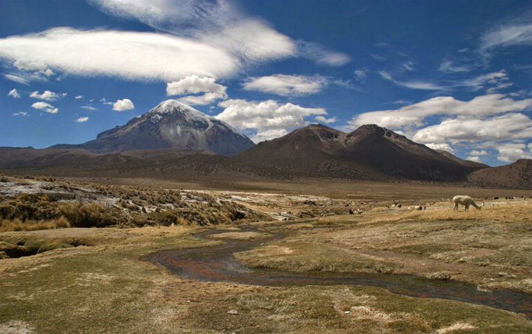 Bolivia Sajama view of Volcano