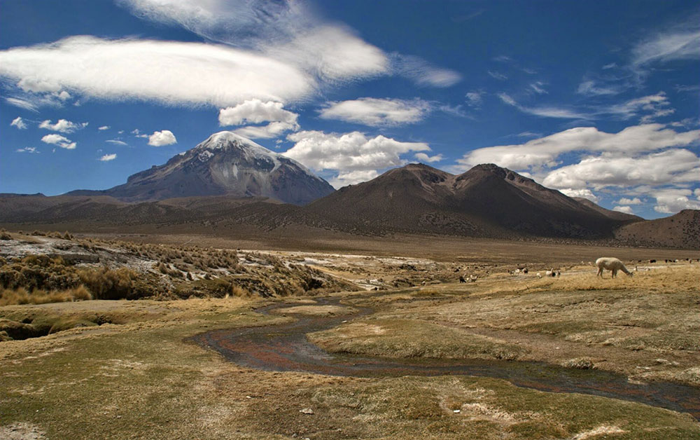 Bolivia Sajama view of Volcano