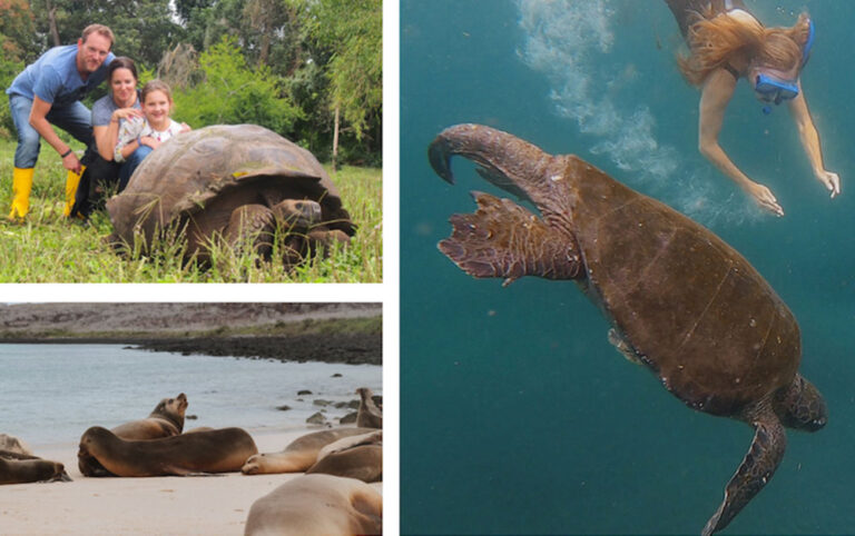 Galapagos Animals and Wildlife