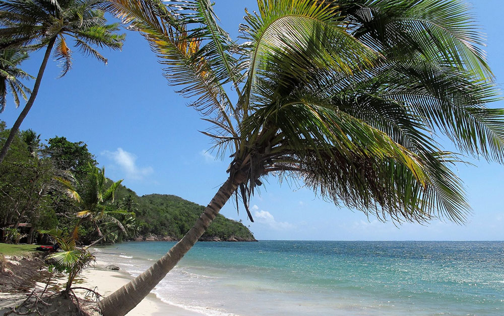 Manzanillo Beach