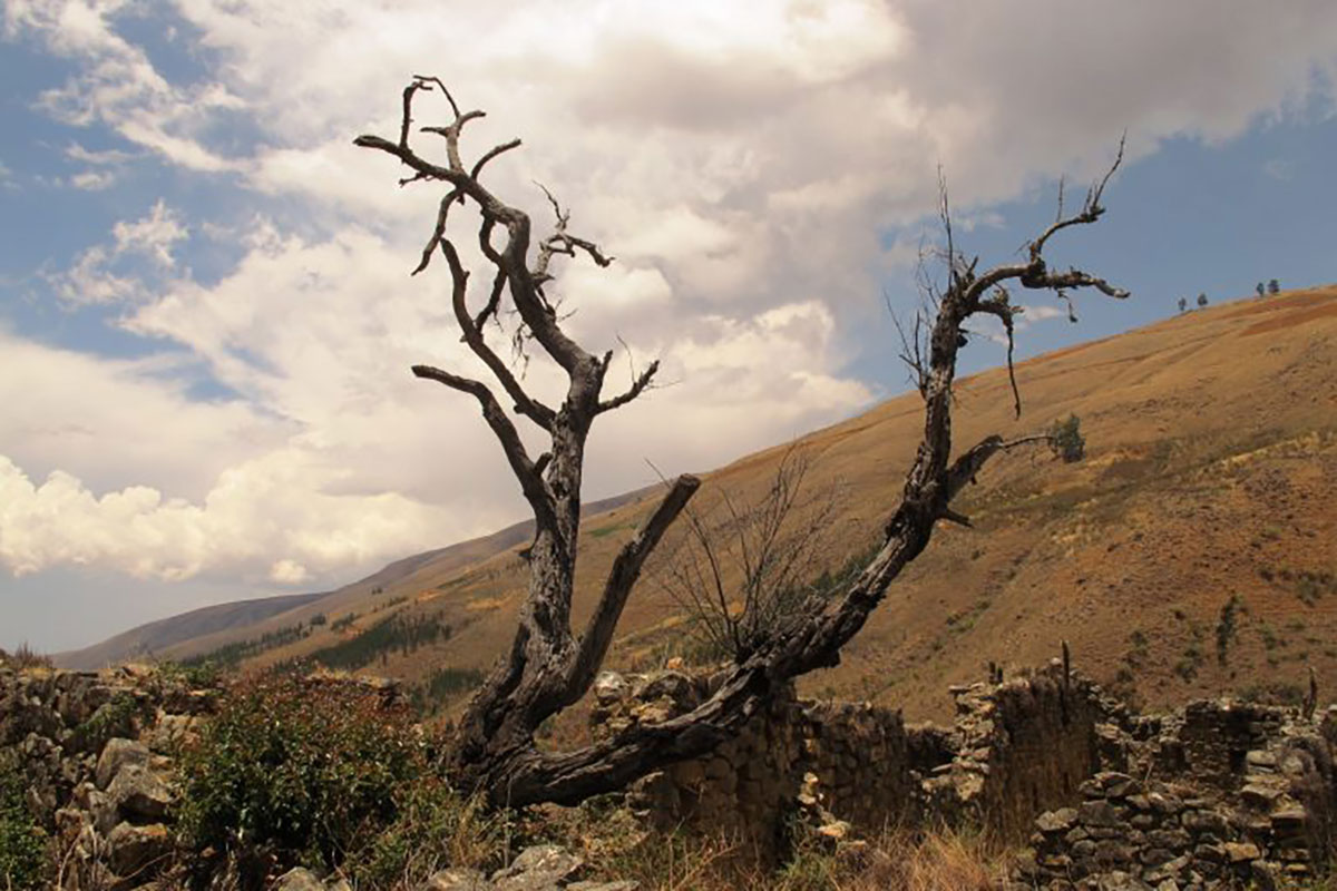 Ruins at Incallajta, Bolivia