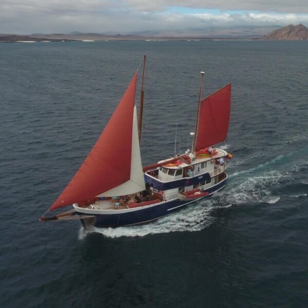Samba Cruise Ship Sailing With Sails Galapagos Islands
