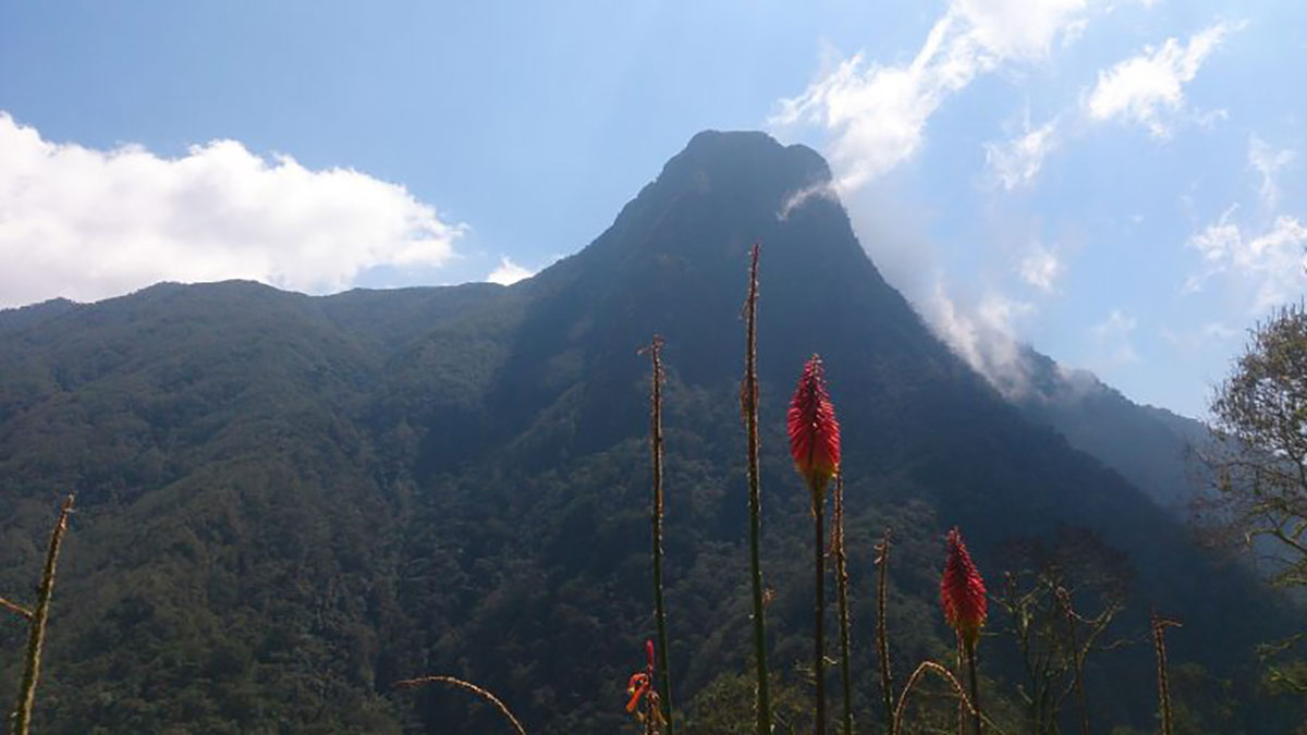 Cerro Morrogachoa, Los Nevados, Salento, Colombia