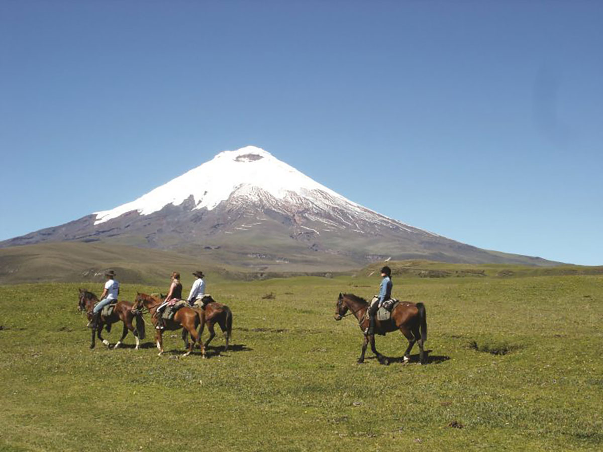 Cotopaxi horses Ecuador