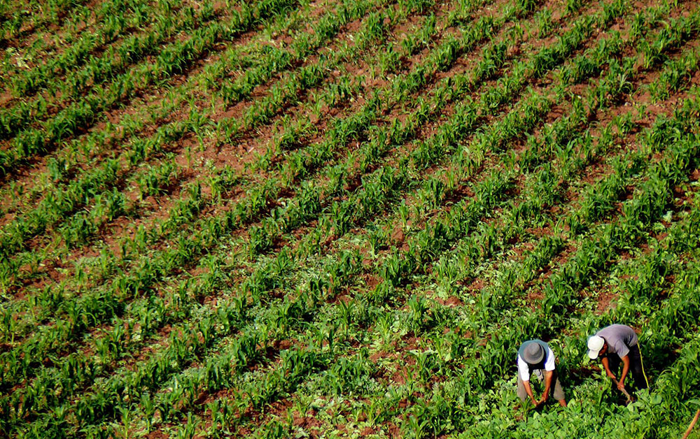farmers moon temple trek peru